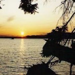 Island Tour Announced