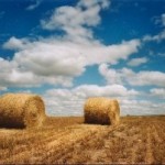 Summer Tour Entry #9: I see barns and wheatfields for miles and miles