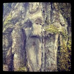 Jobfest 2012 Blog (Entry 7)